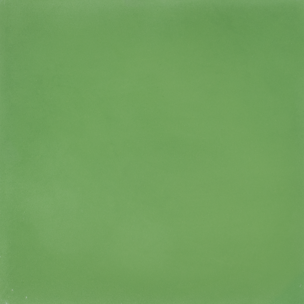 SAM Egal Verde S1305030