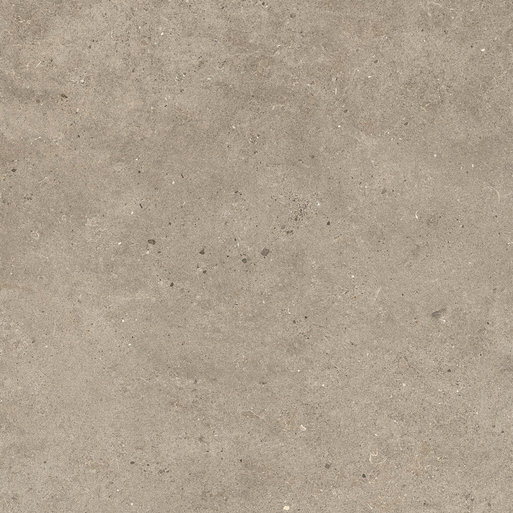 Fossil Taupe