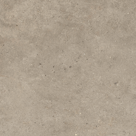 Fossil Taupe