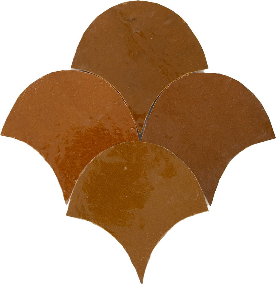 Zellige Caramel Poisson Echelles