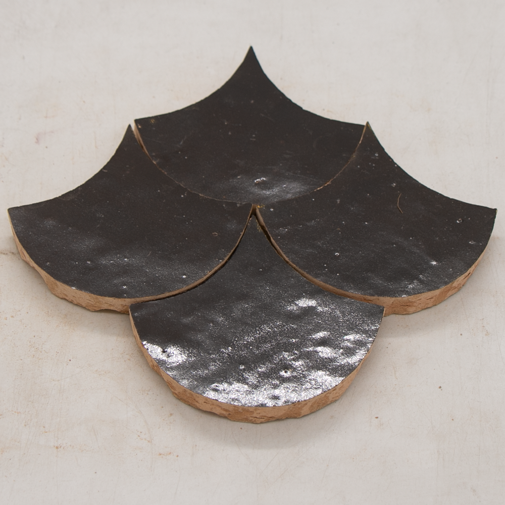 Zellige Marron Poisson Echelles