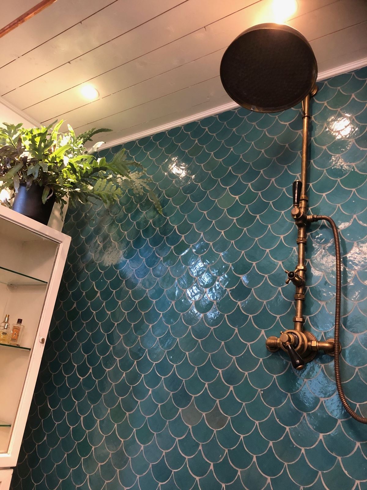 Zellige Atlas Petrol Poisson Echelles