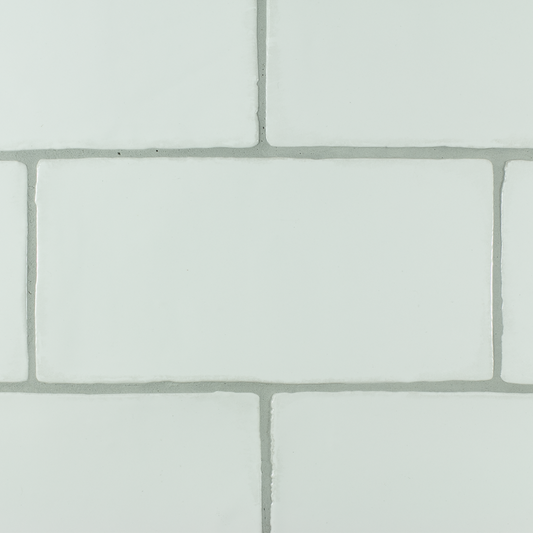 SAM Manual Blanco