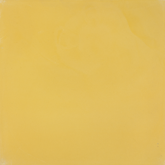 SAM Egal Amarillo S2.2