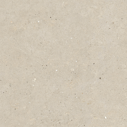 Fossil Beige