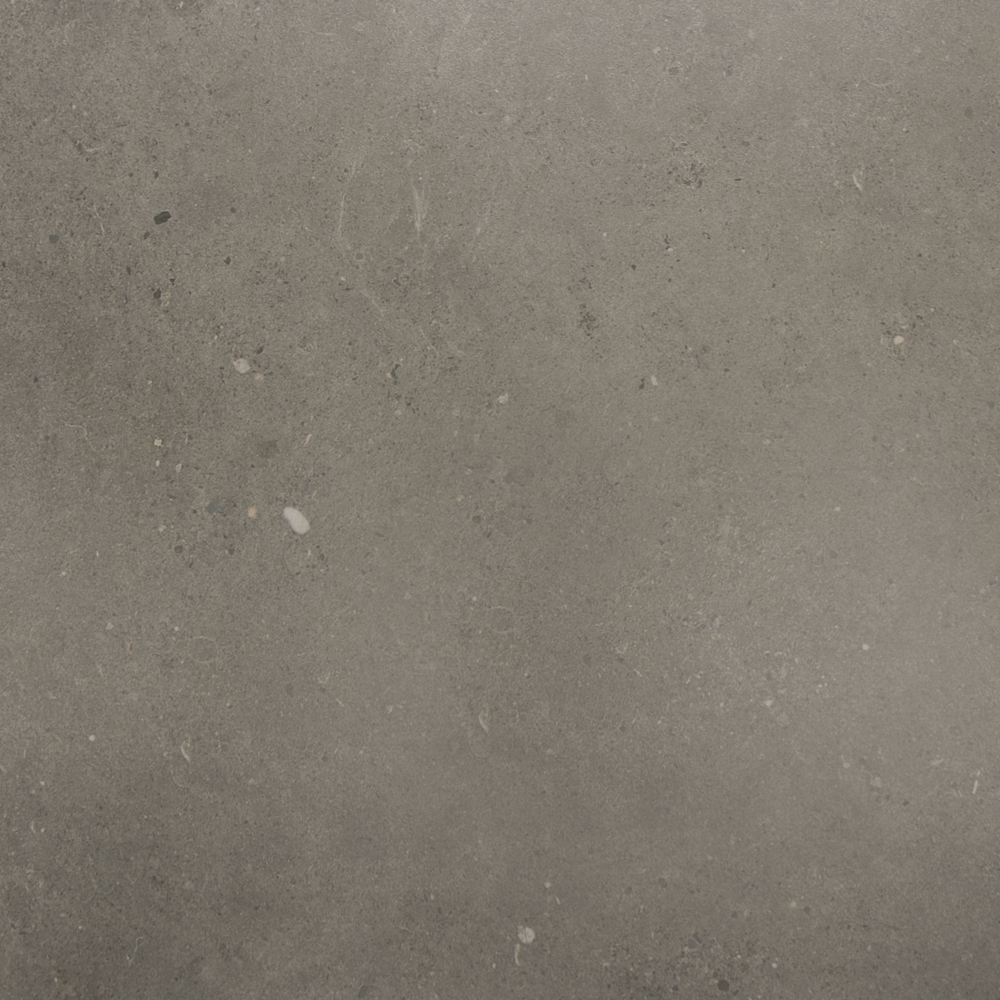 SAM Fossil Dark