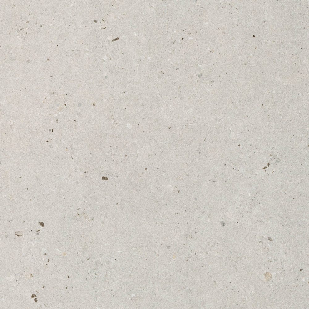 Fossil Grey