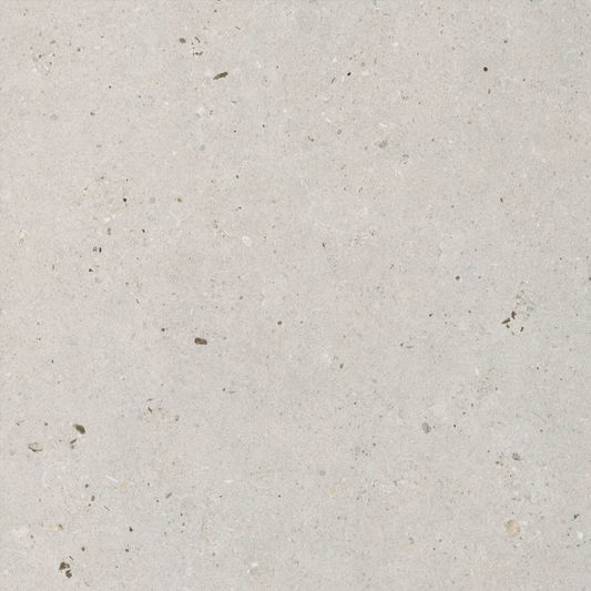 Fossil Grey