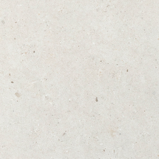SAM Fossil White