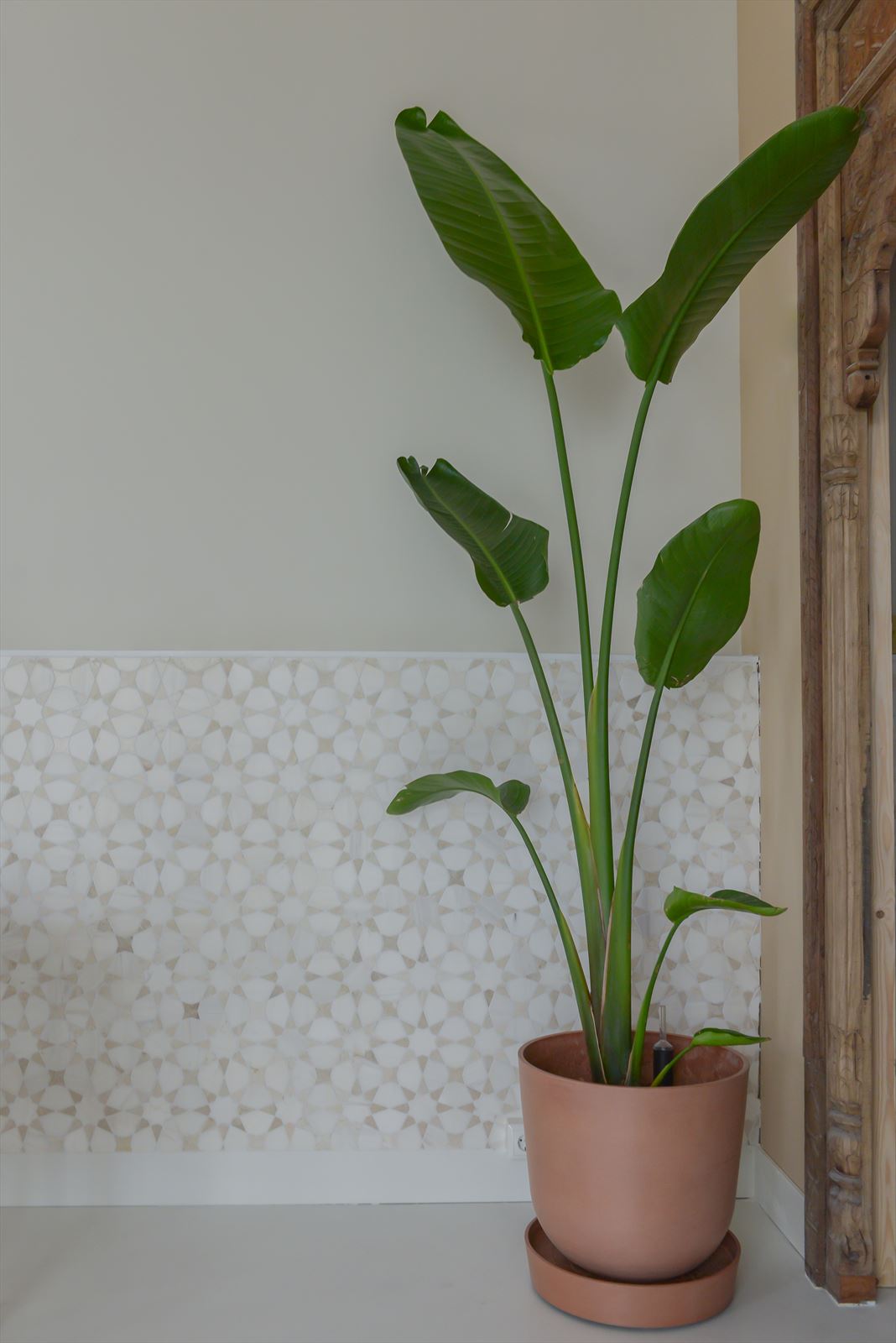 Mosaic Galaxy Dolomit