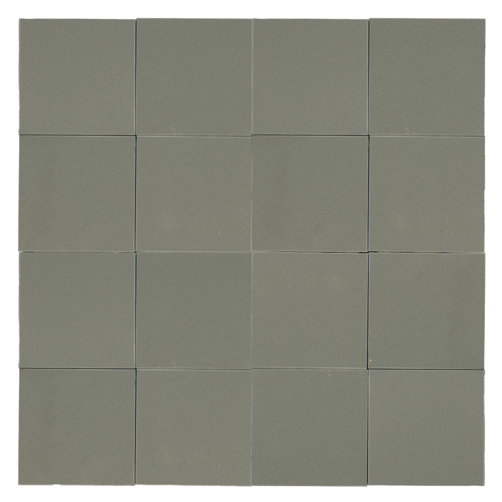 Modular Algae