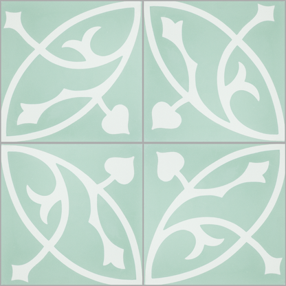 Oval Olive S6.6