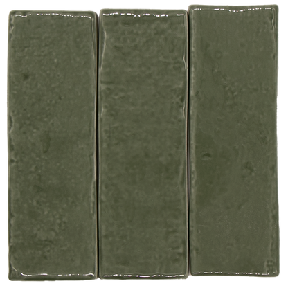 Soil Moss