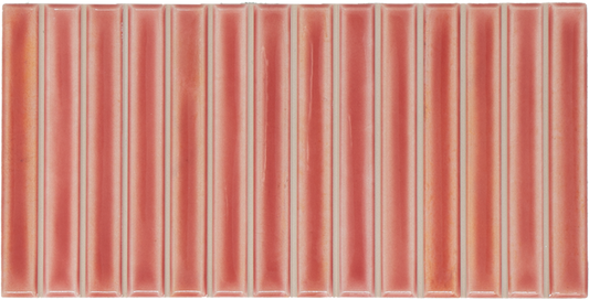 SAM Armonia Salmon Barritas