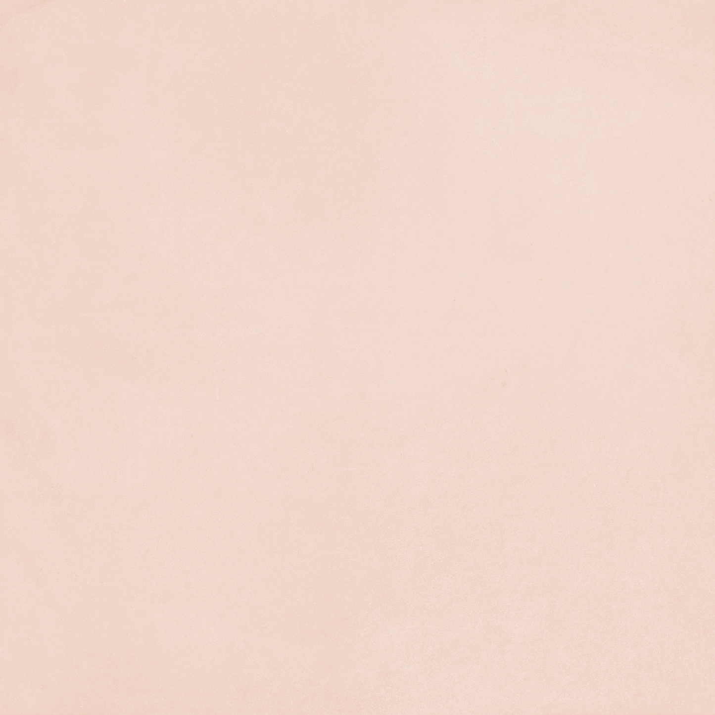 Pattern Plain Rose