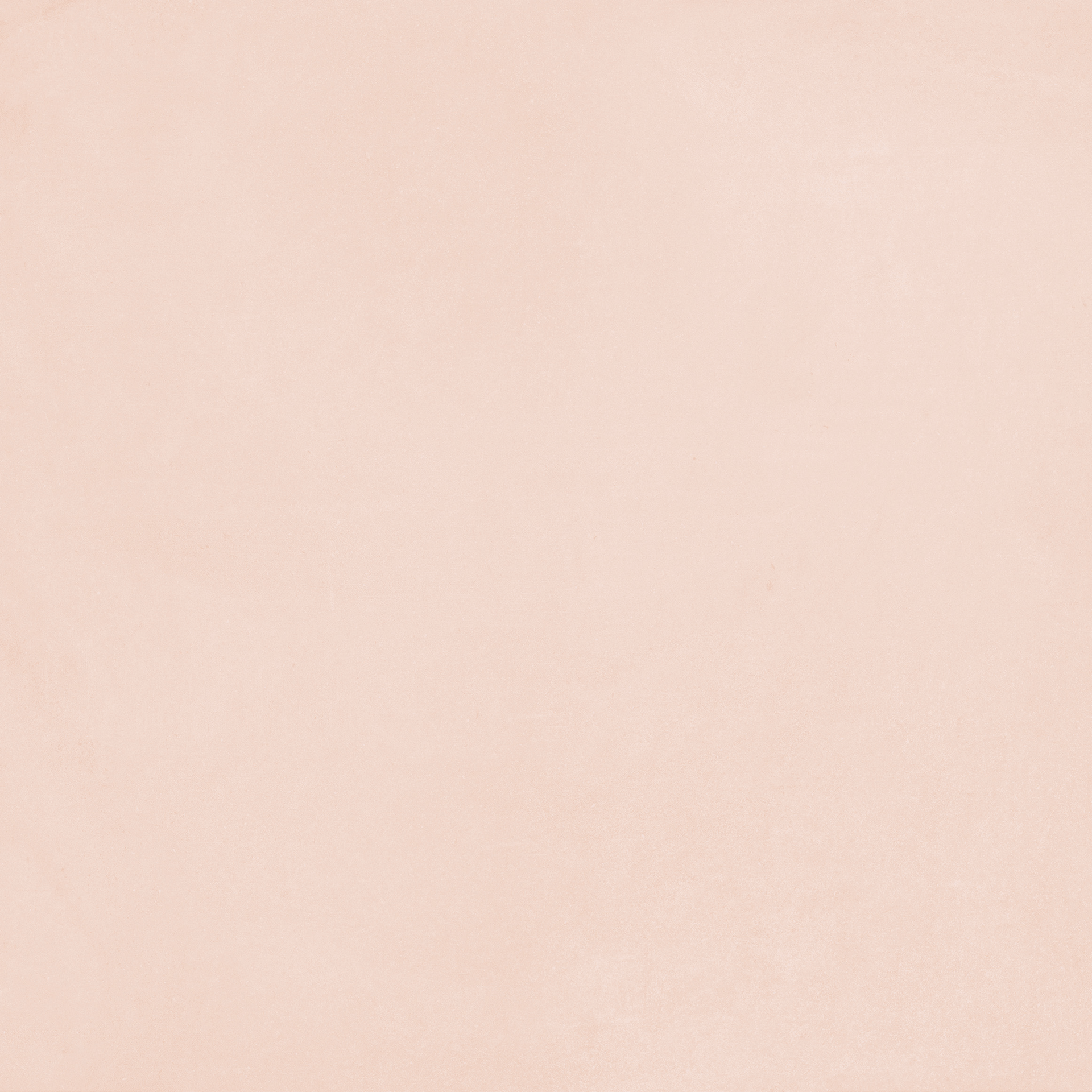 Pattern Plain Rose