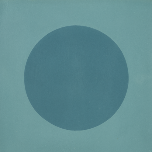 DOT S31