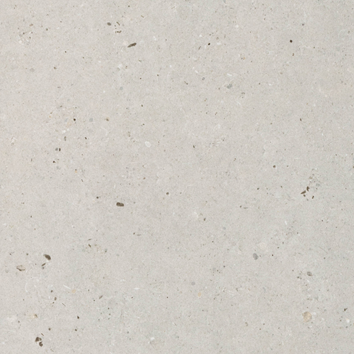 Fossil Grey 60x60cm