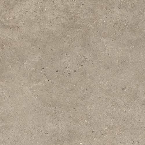 Fossil Taupe 30x60cm